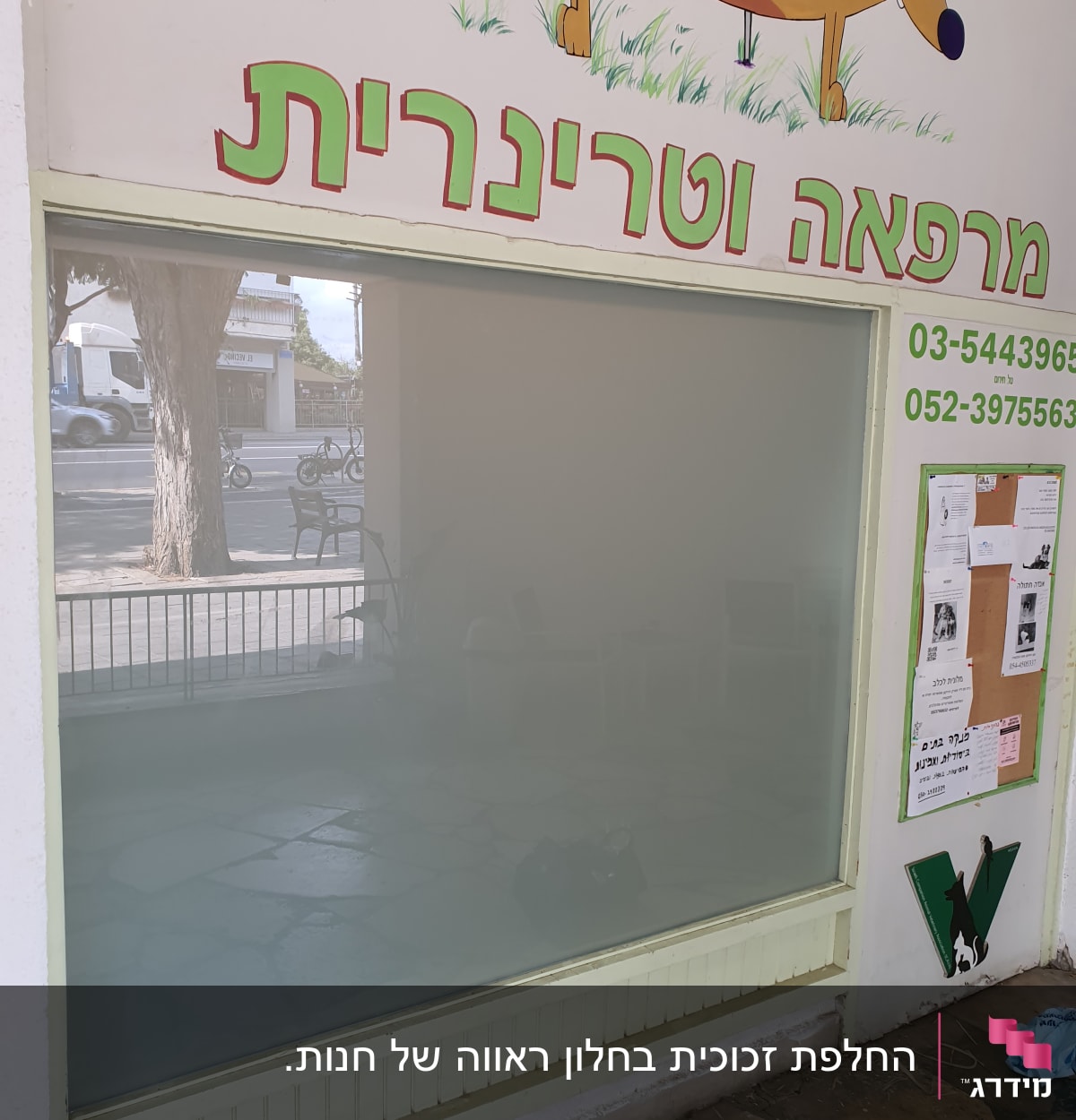 חלון זכוכית גדול עם השתקפות של רחוב ועץ